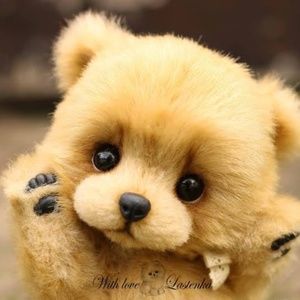 Meet your Posher, Riley